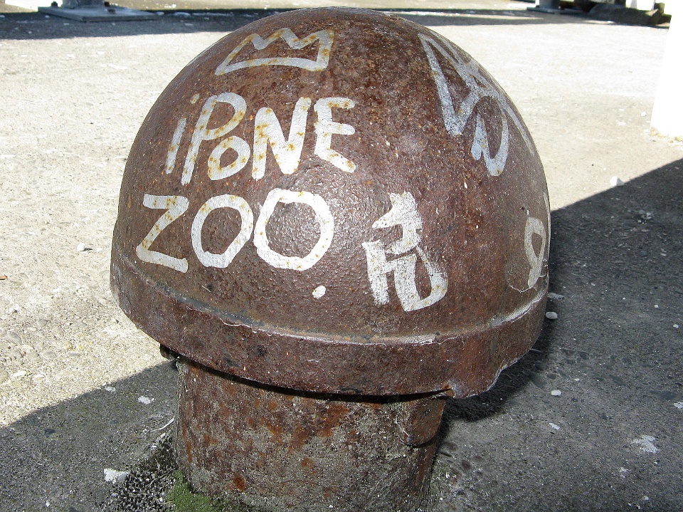 iPone Zoo